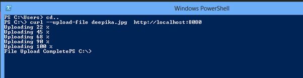 upload a file on server